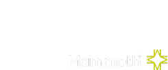 Nadaup x Mammoth Logo
